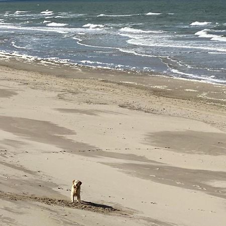 Natur Pur, O4 Neues Ferienhaus Natureingebunden, Familien- Und Hundefreundlich Eingezaeunt Callantsoog Eksteriør billede