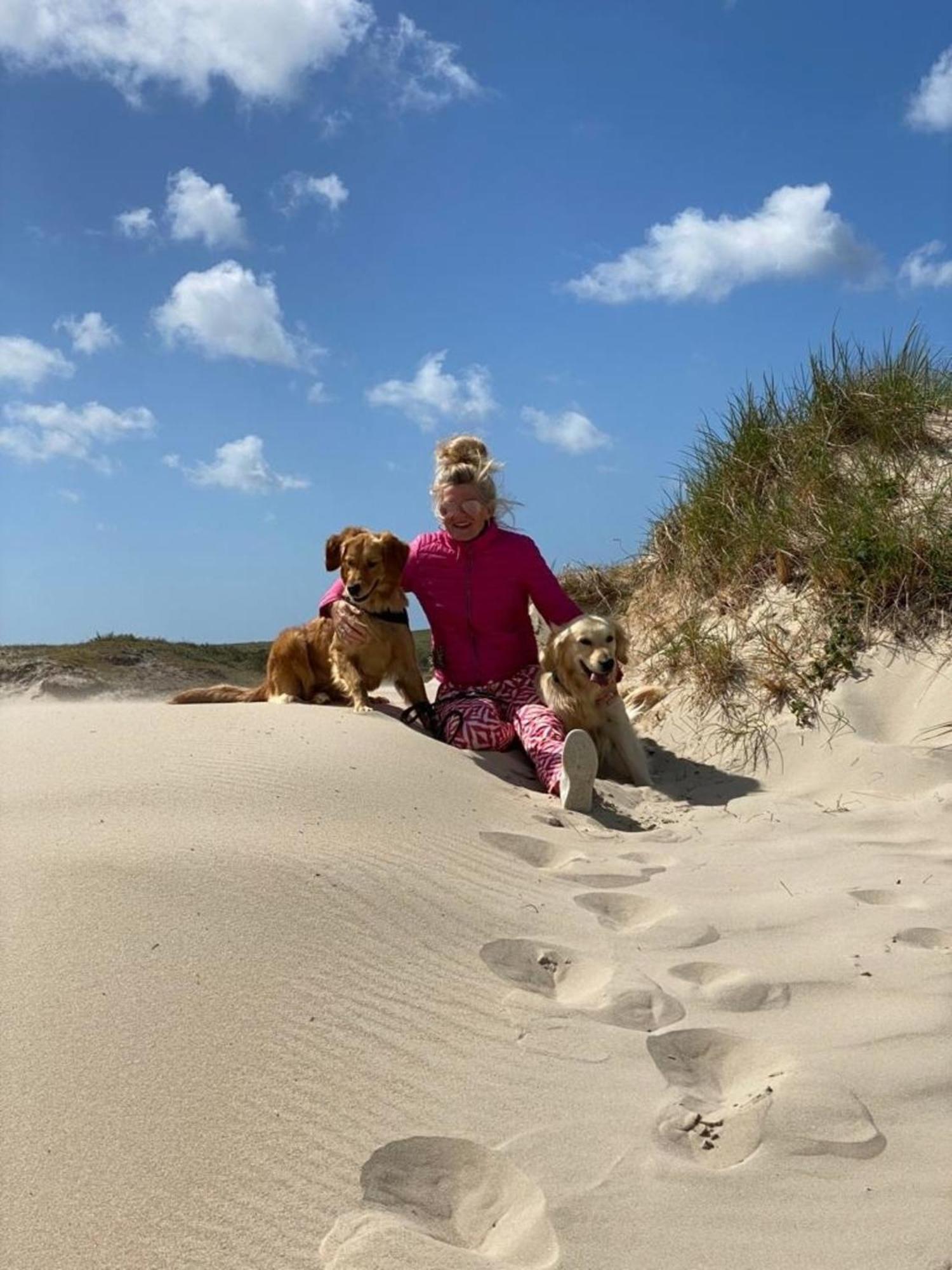Natur Pur, O4 Neues Ferienhaus Natureingebunden, Familien- Und Hundefreundlich Eingezaeunt Callantsoog Eksteriør billede