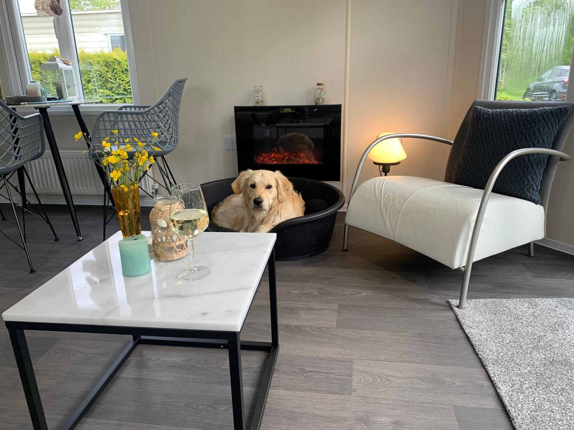 Natur Pur, O4 Neues Ferienhaus Natureingebunden, Familien- Und Hundefreundlich Eingezaeunt Callantsoog Eksteriør billede
