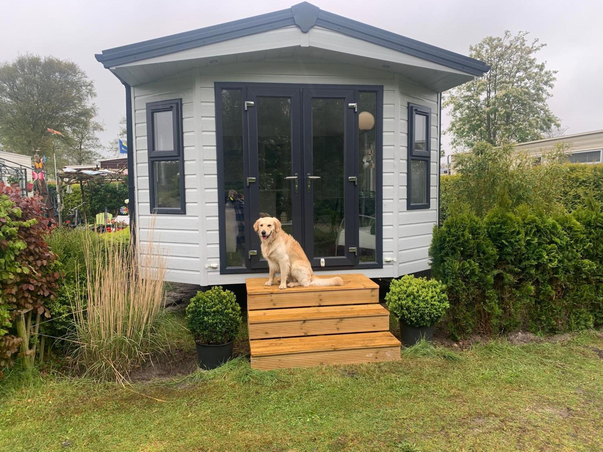 Natur Pur, O4 Neues Ferienhaus Natureingebunden, Familien- Und Hundefreundlich Eingezaeunt Callantsoog Eksteriør billede